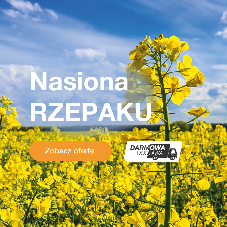 RZEPAK