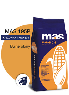 Nasiona kukurydzy MAS 195P