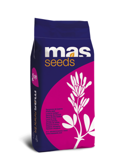 Lucerna MAS ALFA DUO 4