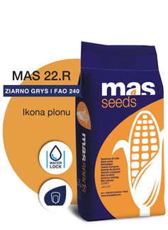 Nasiona kukurydzy MAS 22R