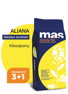 Nasiona rzepaku Aliana